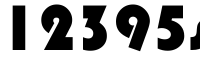 12395ss shop